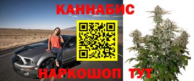 трава Краснодар