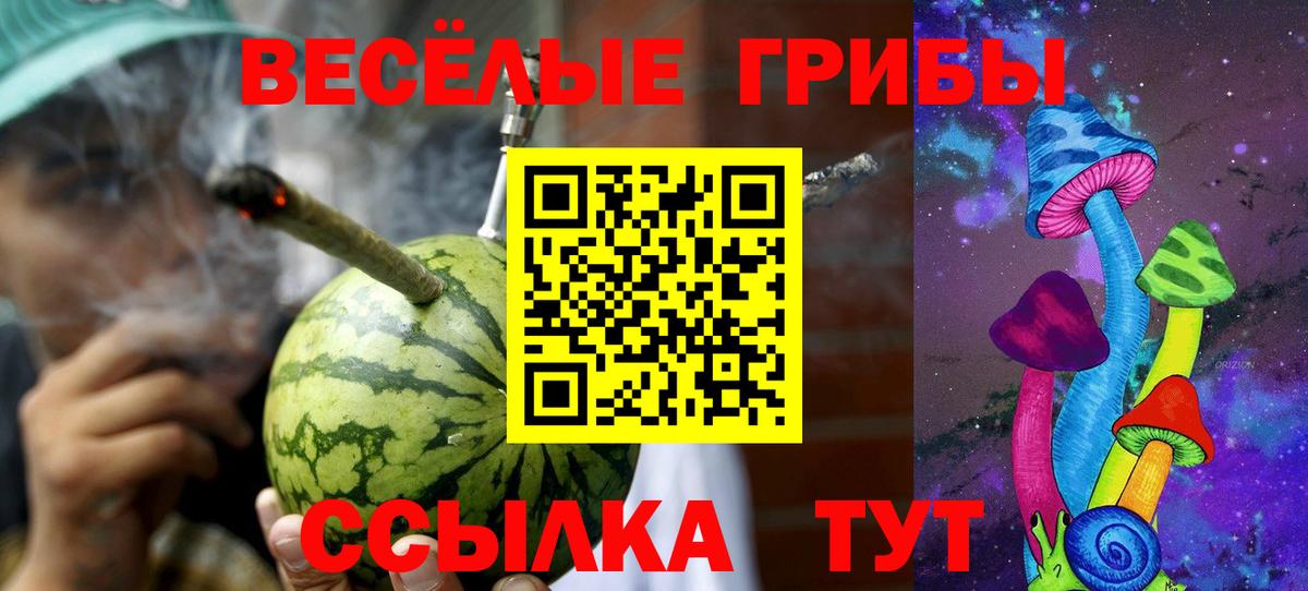 Галлюциногенные грибы GOLDEN TEACHER Барабинск